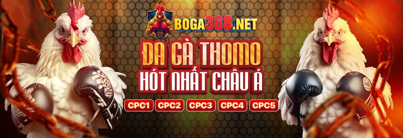 Hình ảnh chính về khuyến mãi 868bet nhà cái